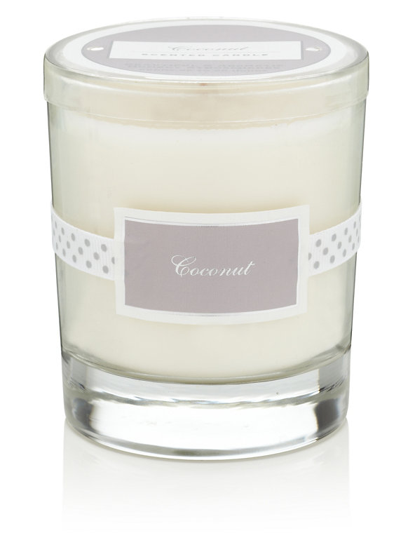 Coconut Filled Scented Candle Image 1 of 1