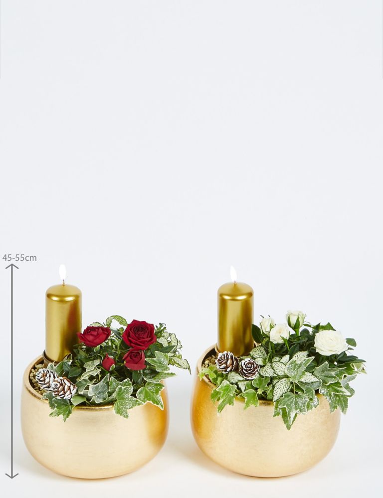Contemporary Christmas Candle Duo 2 of 5