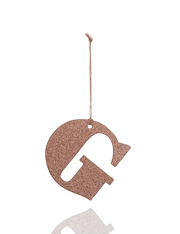 Copper Glitter G Letter Image 1 of 1