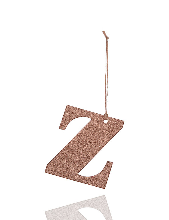 Copper Glitter Z Letter Image 1 of 1