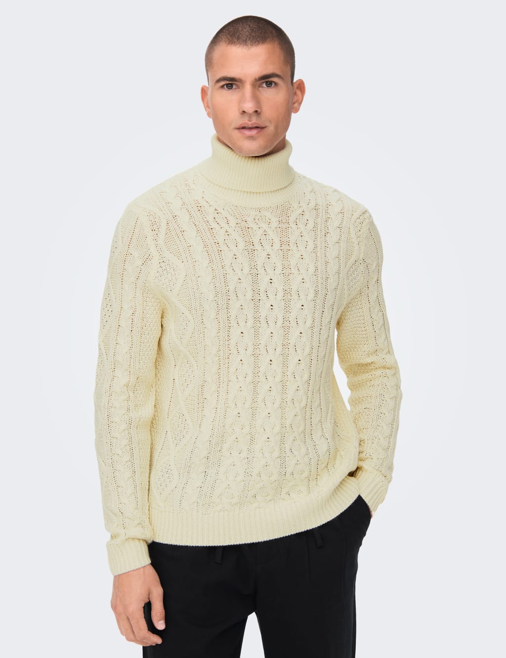 Mens roll neck jumper m&s best sale