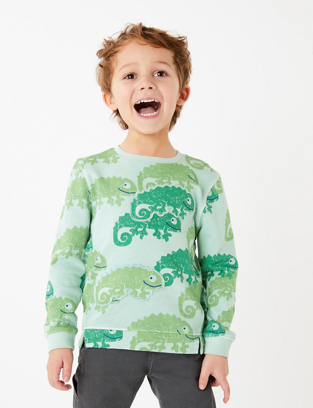Cotton Chameleon Print Sweatshirt (2-7 Years) | M&S