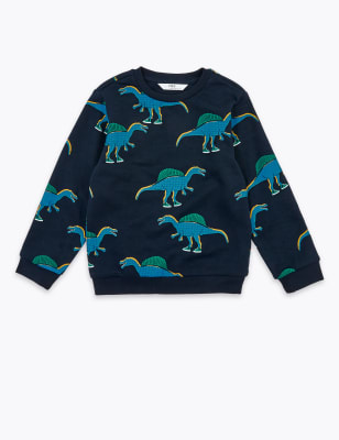 dinosaur sweatshirt