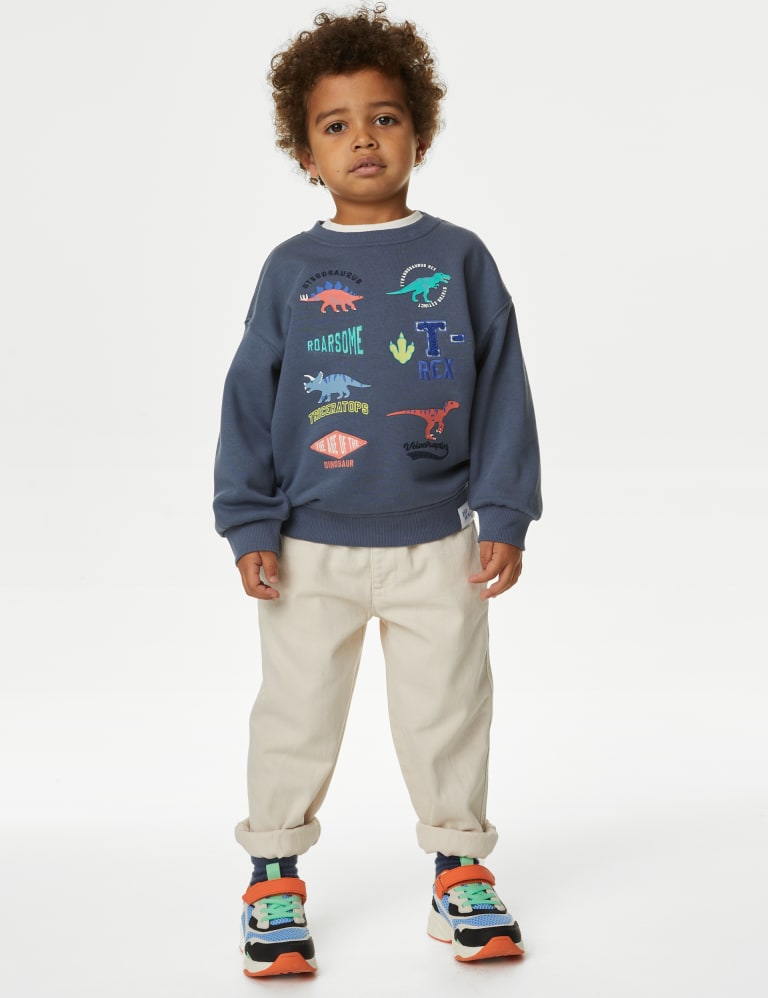 Kids dinosaur sweatshirt online