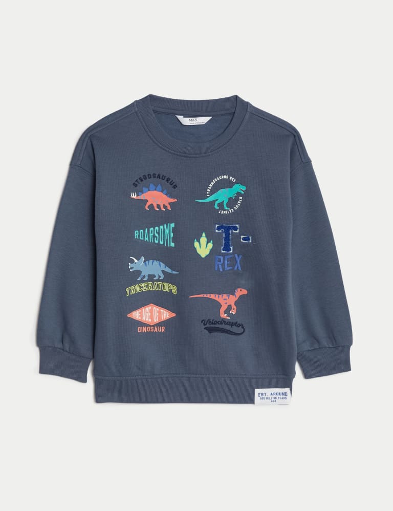 Dinosaur crewneck discount