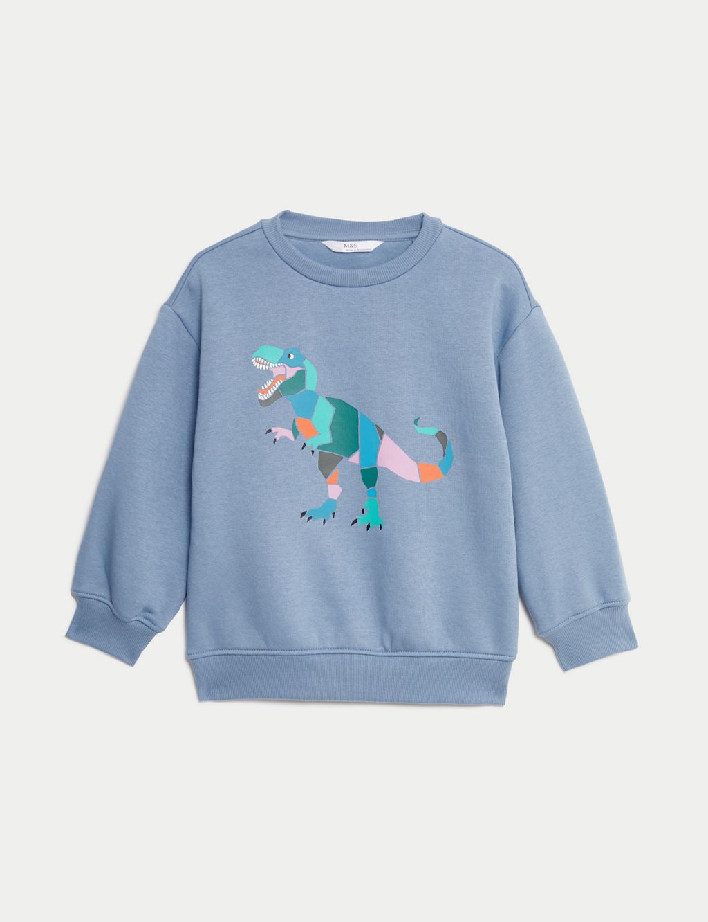 Cotton Rich Dinosaur Sweatshirt (2-8 Yrs) 1 of 5