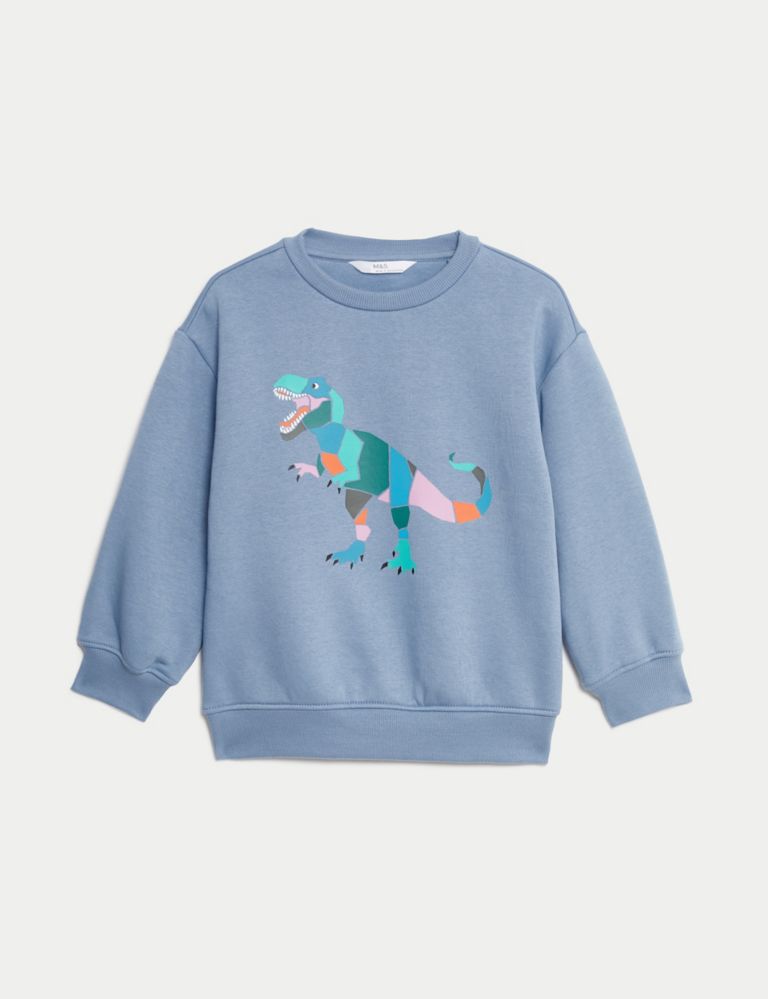 Cotton Rich Dinosaur Sweatshirt (2-8 Yrs) 2 of 5