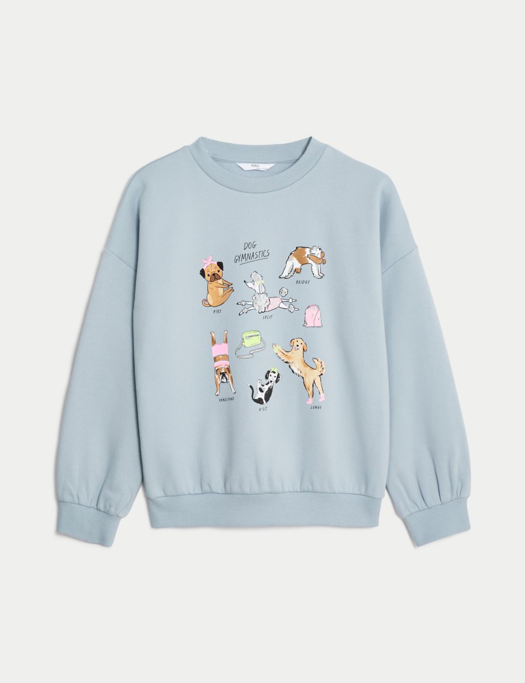 Buy Cotton Rich Dog Gymnastics Sweatshirt (6-16 Yrs) | M&S Collection | M&S