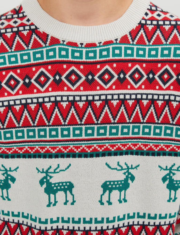 Fair isle reindeer sweater sale