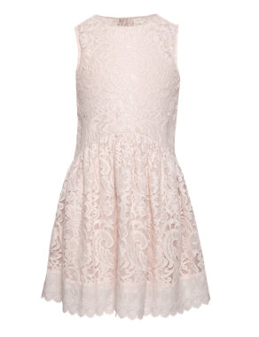 Cotton Rich Floral Lace Dress Image 2 of 6
