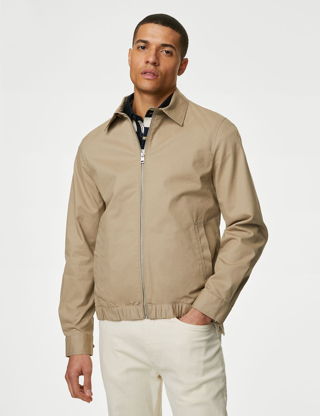 Cotton Rich Harrington Jacket 3 of 7