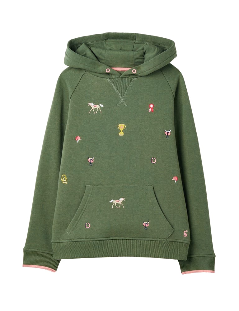 Joules shop dinosaur hoodie