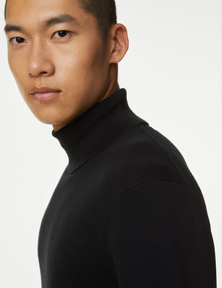 Mens roll best sale neck jumper m&s