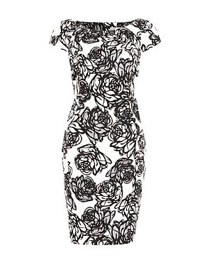 Cotton Rich Rose Linear Print Shift Dress Image 2 of 5