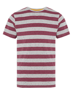 Cotton Rich Striped T-Shirt Image 2 of 4