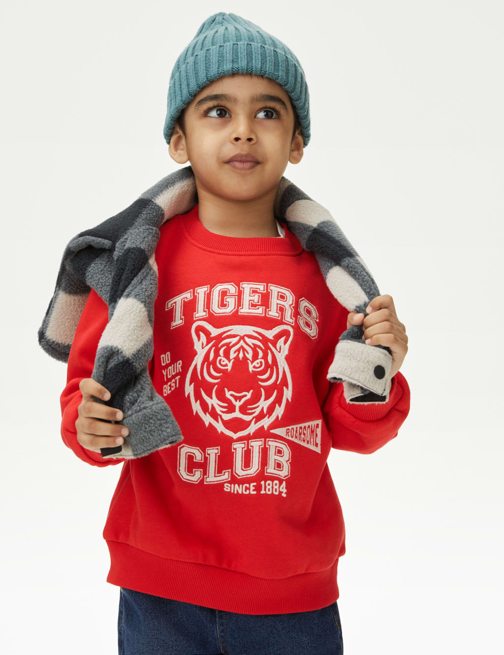 Cotton Rich Tiger Sweatshirt (2-8 Yrs) 3 of 4