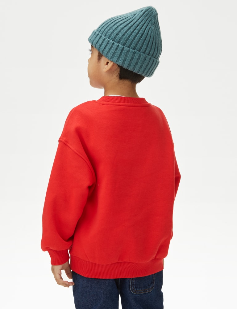 Cotton Rich Tiger Sweatshirt (2-8 Yrs) 4 of 4