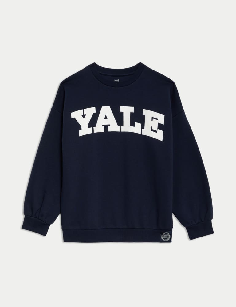 Yale champion hoodie sale