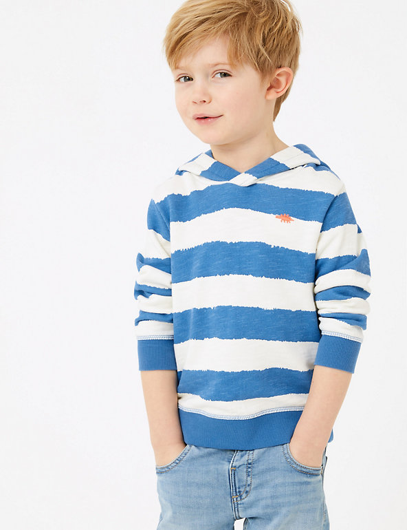 Cotton Striped Hoodies (2-7 Yrs) Image 1 of 2