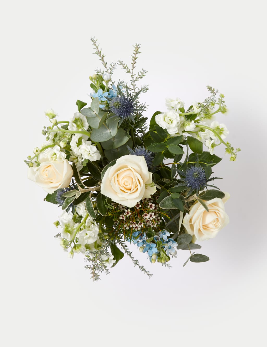 Cream Rose & Blue Eryngium Bouquet in Vase M&S