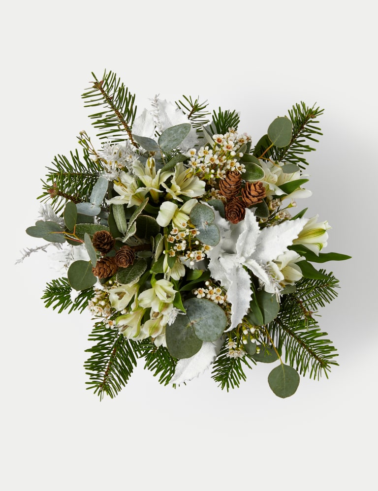 M and s 2025 xmas flowers