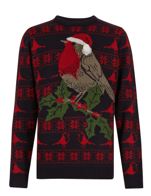 Marks and shop spencer robin jumper