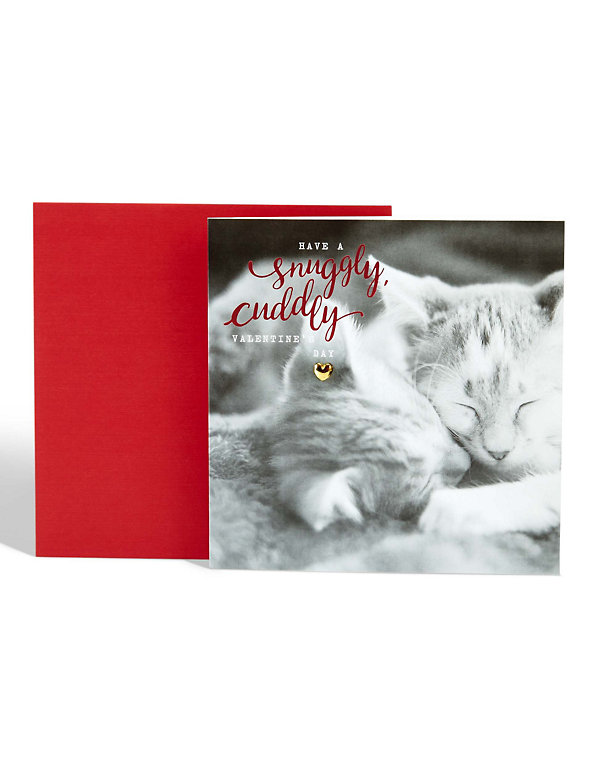 Cuddly Cats Valentine's Day Card Image 1 of 2