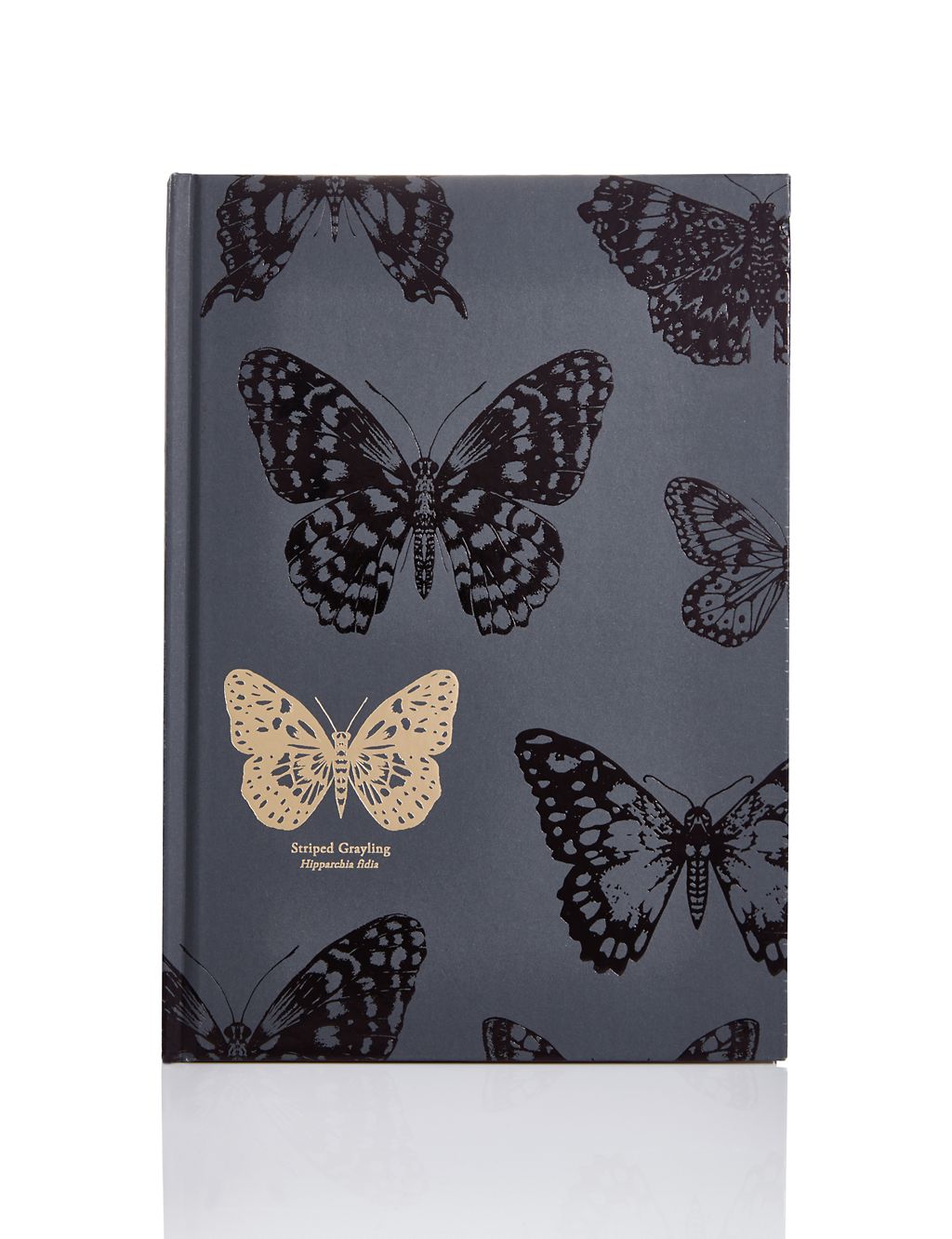Curiosities ‘Striped Grayling’ Hard Back Notebook 3 of 3