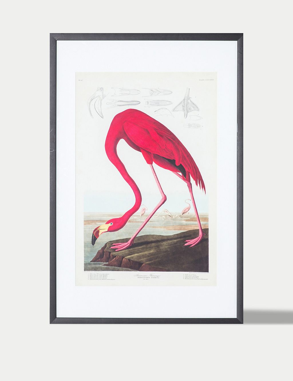 Curious Flamingo Rectangle Framed Art 1 of 4