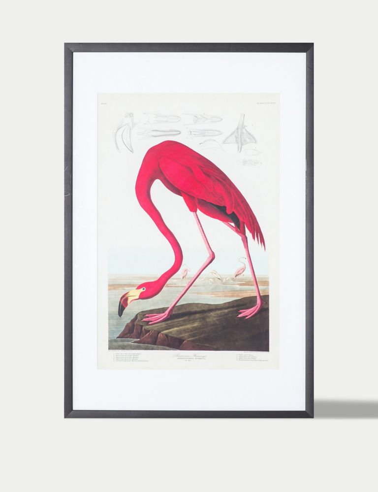 Curious Flamingo Rectangle Framed Art 2 of 4