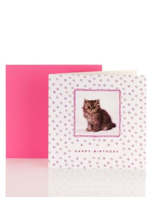 Cute Cat Blank Card Image 1 of 1