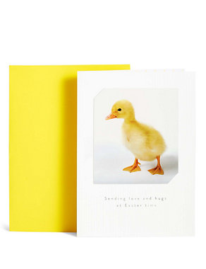 Cute Duckling Photographic Easter Card Image 2 of 3