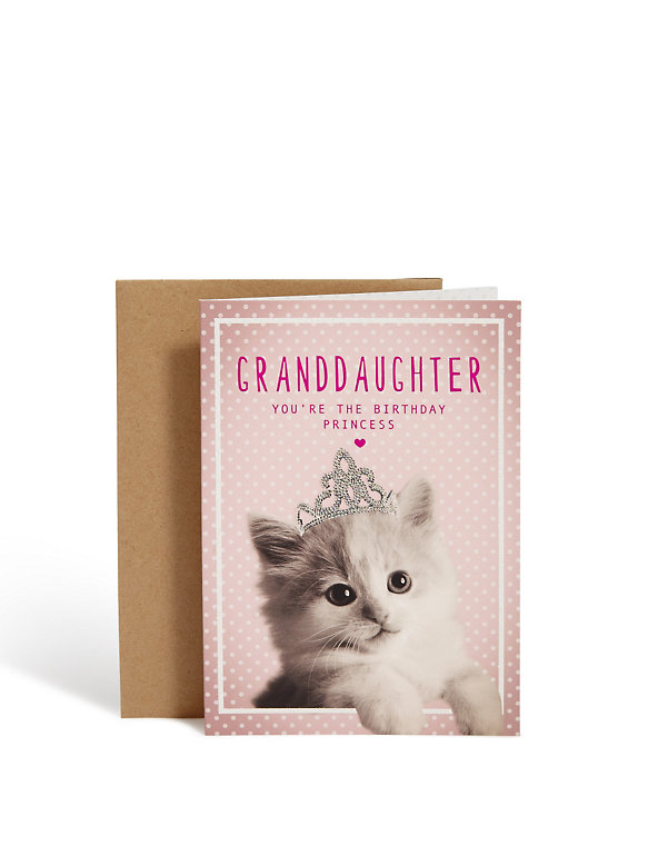Cute Kitten Granddaughter Birthday Card Image 1 of 2