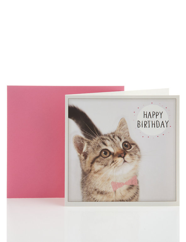 Cute Kitten Happy Birthday Card Image 1 of 2