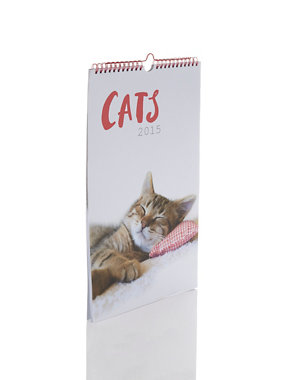 Cute Photographic Cat Calendar 2015 Image 2 of 3