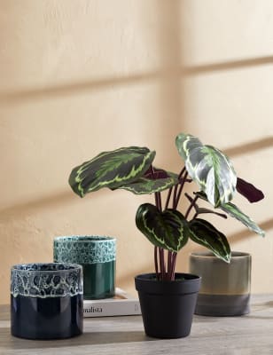 M&s deals artificial plants