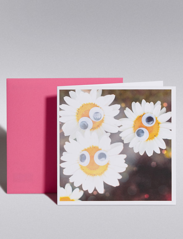 Daisies Blank Card Image 1 of 1