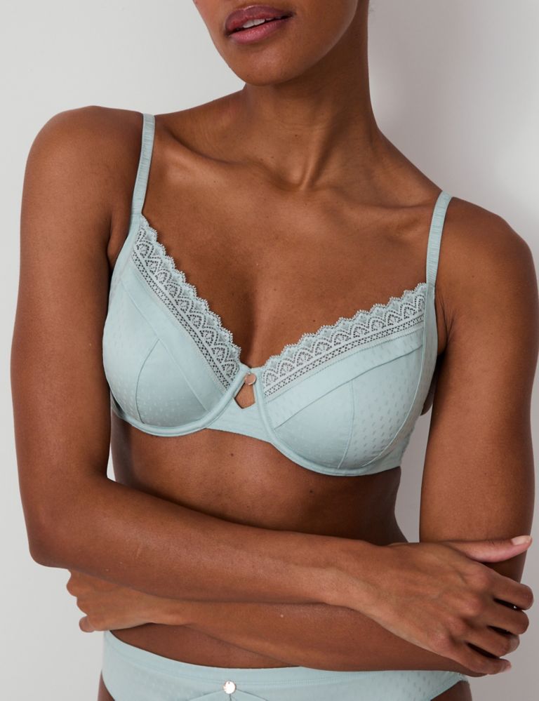 Delphine Wired Full Cup Bra With Cotton (A-E) 3 of 7