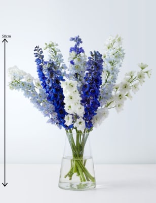 delphinium bouquet