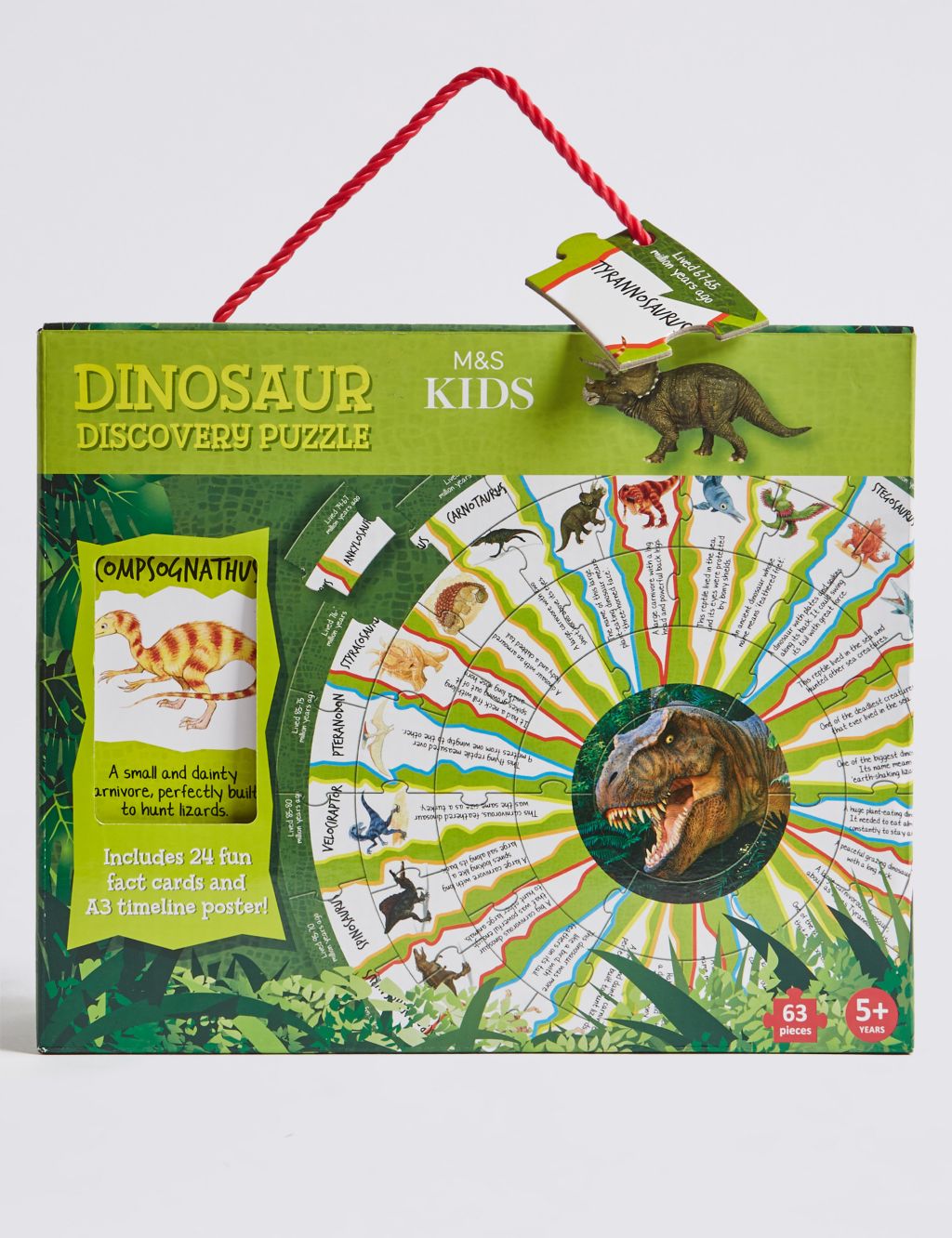 Dinosaur Discovery Puzzle 3 of 4