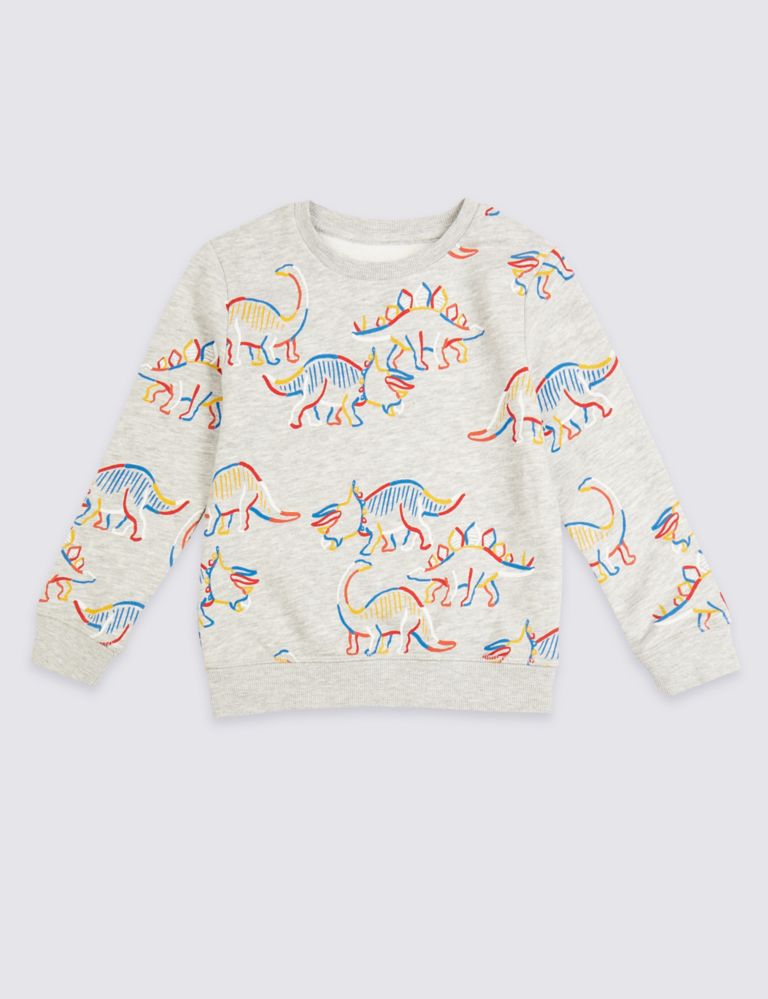 Dinosaur Print Sweatshirt (3 Months - 7 Years) 2 of 4