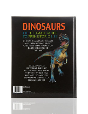 Dinosaurs Book Image 2 of 3