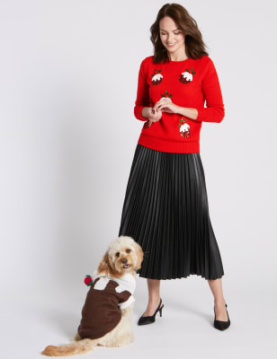 Christmas pudding hotsell dog outfit