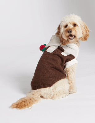 Christmas pudding cheap dog jumper