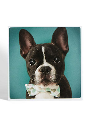 Dog Photo Gift Card Image 2 of 4