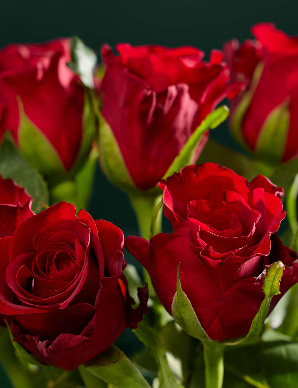 Dozen Red Rose Bouquet, Prosecco & Chocolate Bundle M&S