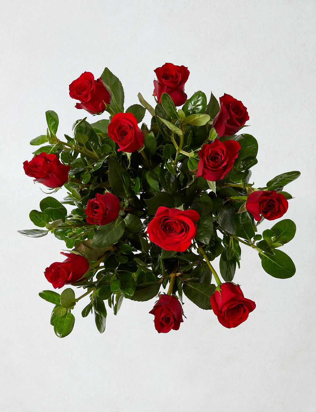 Dozen Rose Bouquet (Available until 03/03/24) 1 of 6