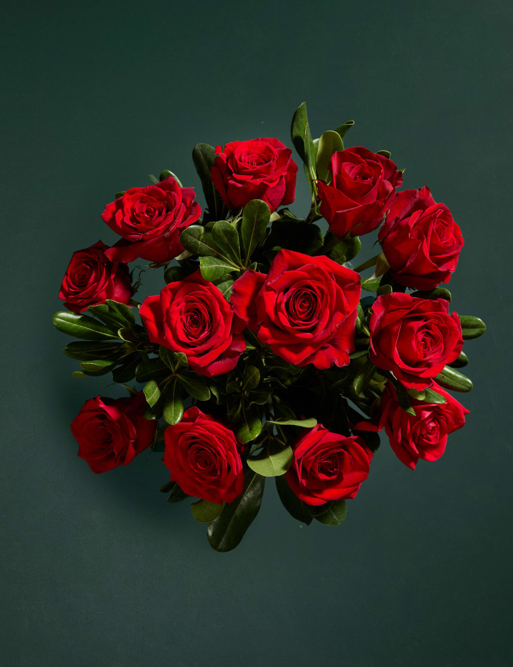 Dozen Rose Bouquet M&S