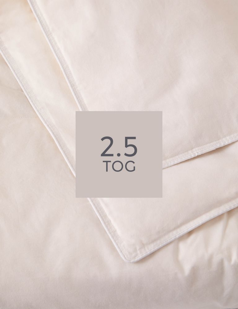 Duck Feather & Down 2.5 Tog Duvet 2 of 2