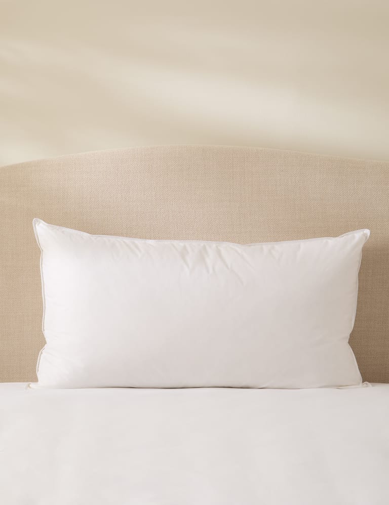 Feather and down cushions online